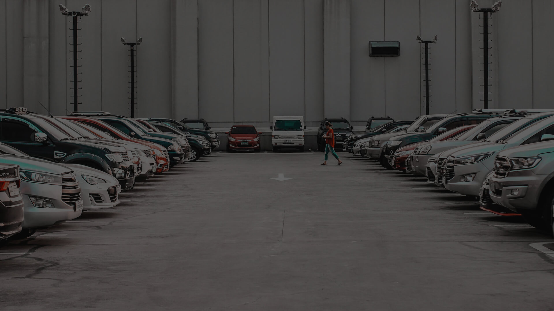 A collection of luxury and exotic rental cars